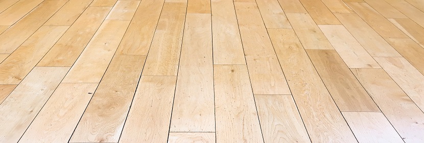 WST650-2019抗菌和抑菌效果評價(jià)方法