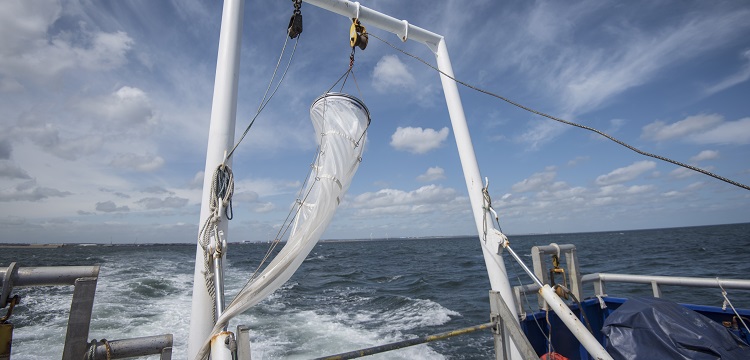 食品接觸材料檢測項目大匯總！