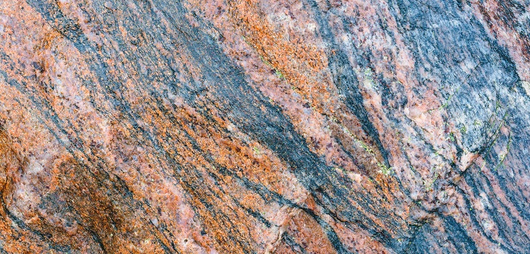 2022年廣東省最新林業碳匯申報要求匯總：方法學、申報模板、材料清單