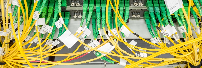 公共衛(wèi)生考研，這是最好的時期！！！?【2022為民實事系列評論】筑牢公共衛(wèi)生防護網(wǎng)，是須臾不可放松的大事 健明迪檢測