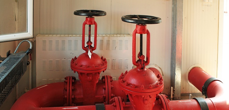 微生物安全健康網(wǎng)，微生物檢測如何規(guī)范操作 ?在微生物檢測實踐中，什么時候需要檢測參考菌群 參考菌群的檢測有何意義 ?健明迪