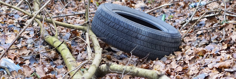 水質(zhì)檢測報告編制要點(diǎn)解析
