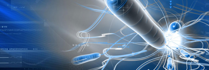 細(xì)菌內(nèi)毒素檢測(cè)