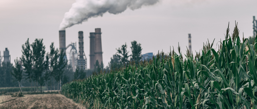 場(chǎng)地調(diào)查