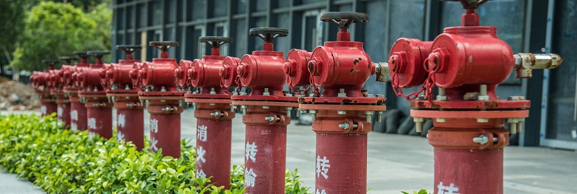 乳腺癌細胞4TO7熒光素酶標記小鼠模型