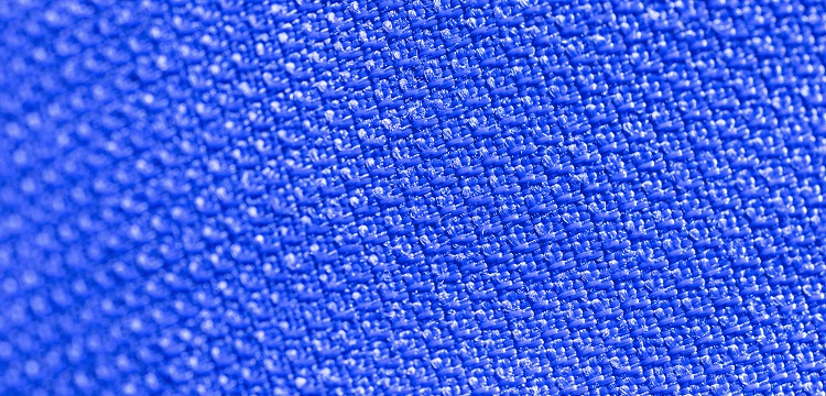 氣管途徑感染Wistar大鼠模型