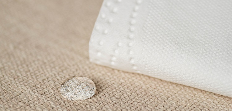 DSS化學物誘導結腸炎小鼠模型