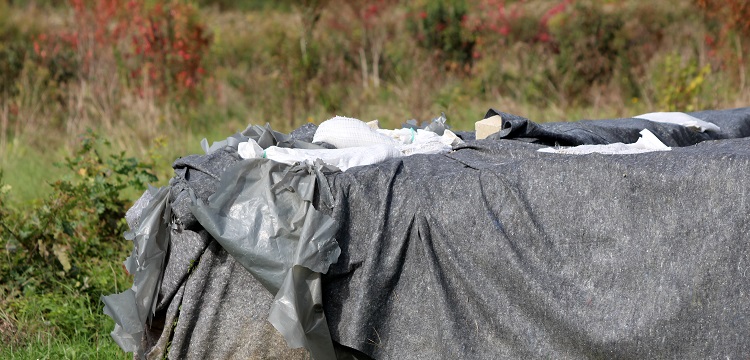 環(huán)磷酰胺誘導的免疫低下模型