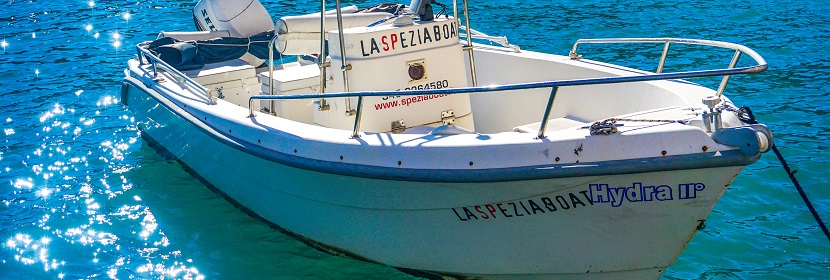 龍腦烯醛檢測(cè)