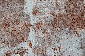 高錸酸銨檢測(cè)