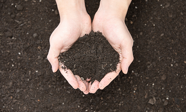 二戊烯檢測(cè)