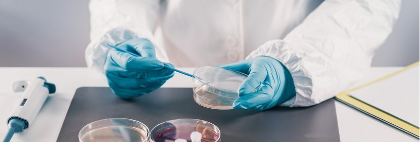 扶手檢測(cè)報(bào)告