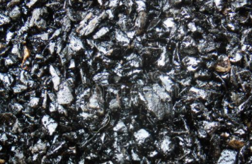 小麥肽檢測(cè)