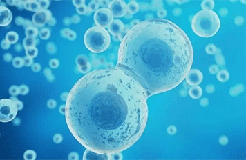 脲酶活性檢測(cè)