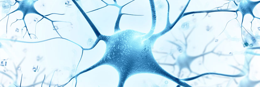 霉菌總數(shù)檢測(cè)