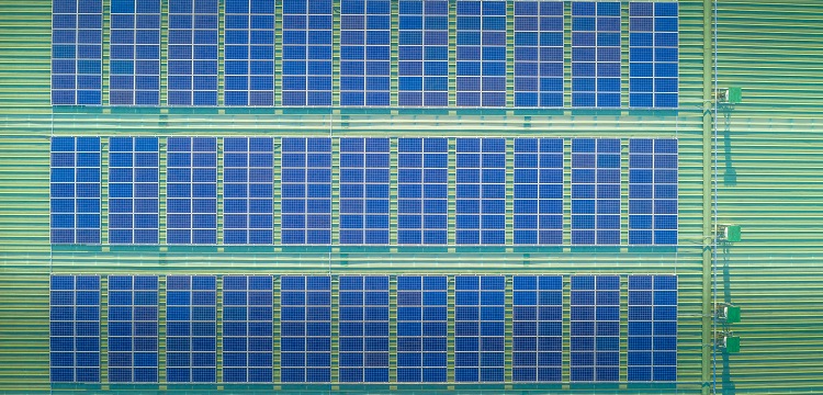 四（三苯基膦）鈀檢測(cè)