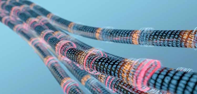 壓力容器波形膨脹節(jié)檢測