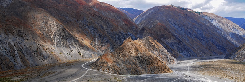 對(duì)特辛基苯酚檢測(cè)