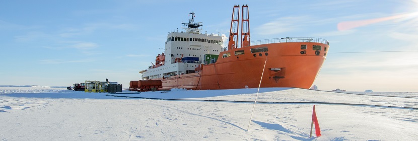 檸檬黃檢測(cè)