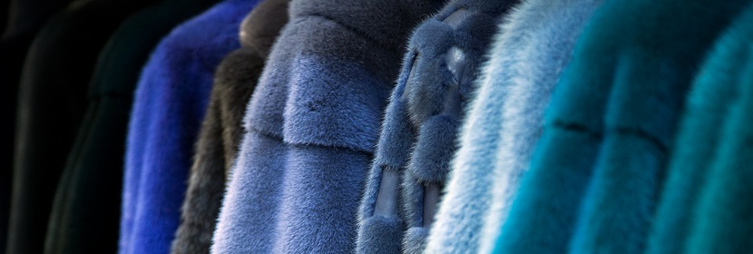 魔芋粉質(zhì)量檢測(cè)