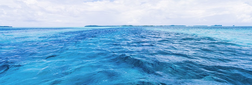 生物實(shí)驗(yàn)