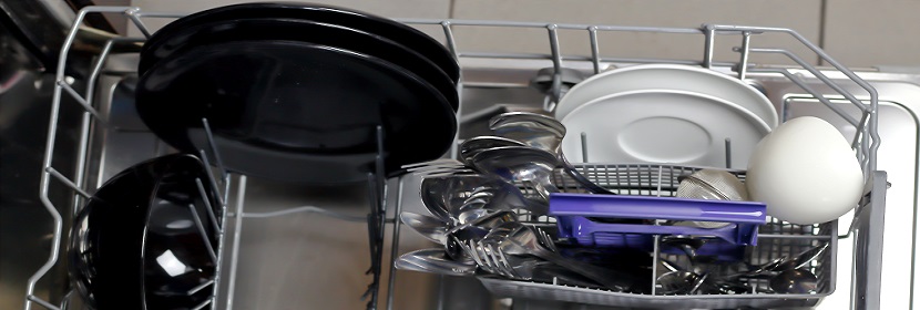 沙門氏菌檢測(cè)