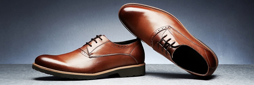 細菌/真菌MLST分型服務(wù)