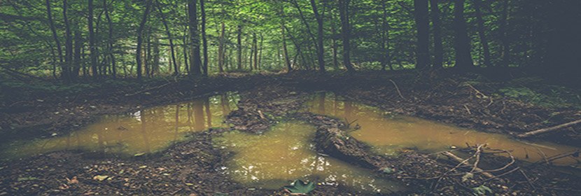 動力粘度系數(shù)檢測