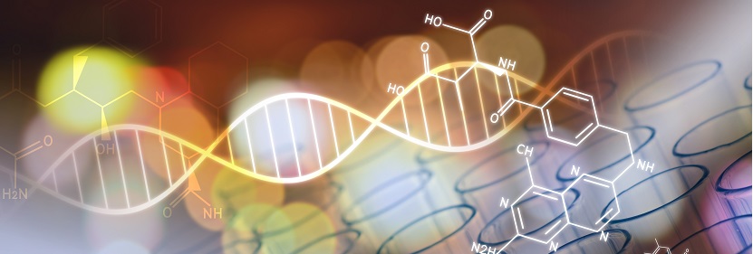 光學(xué)級聚酯薄膜檢測