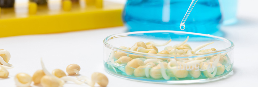 食品毒害物質(zhì)檢測(cè)