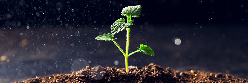 土壤常規(guī)五項(xiàng)檢測(cè)