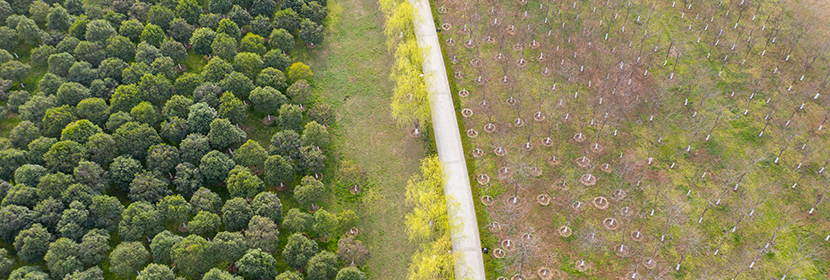 水土保持服務(wù)編制