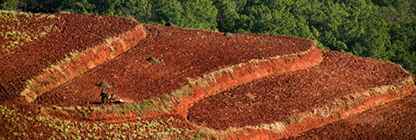 耕地破壞檢測(cè)