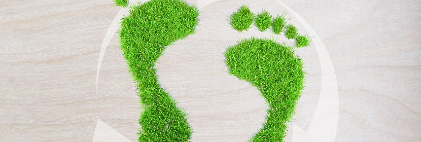 碳足跡檢測(cè)