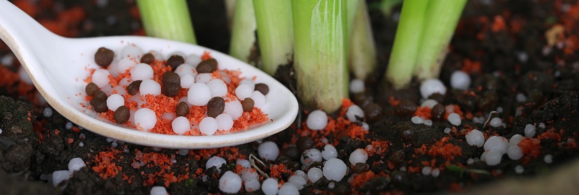 肥料有害物質(zhì)檢測(cè)