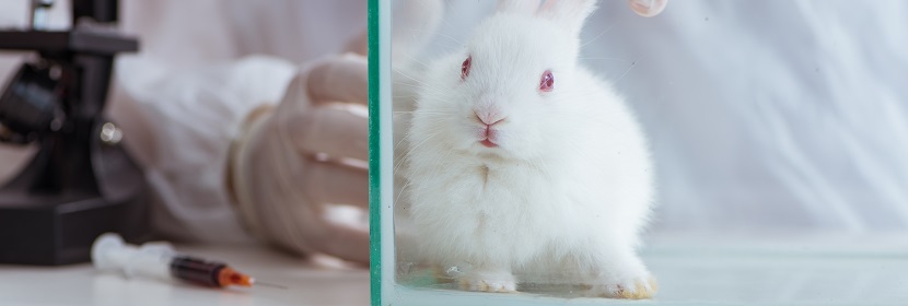 醫(yī)療器械陰道黏膜刺激試驗