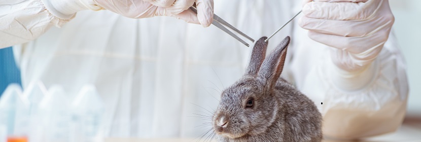 一次性使用衛(wèi)生用品皮膚變態(tài)反應試驗