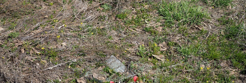 土壤污染檢測(cè)