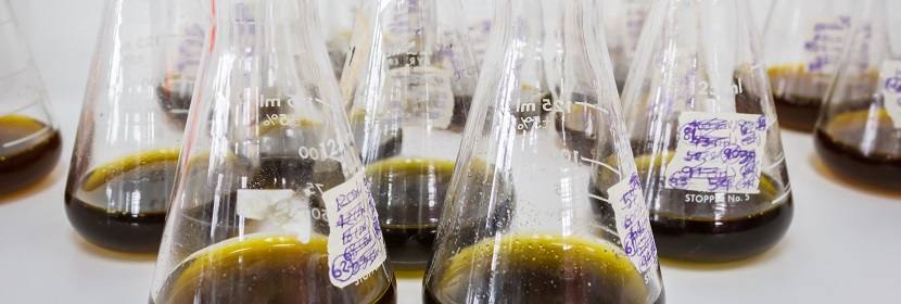 一水合草酸銨(草酸銨)檢測