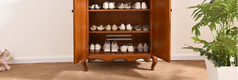 多功能電子鞋柜檢測(cè)